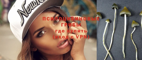молекула духа Армянск