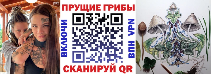 Галлюциногенные грибы Psilocybine cubensis Нолинск