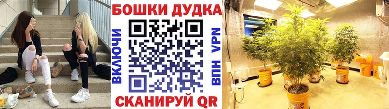 Марихуана Bruce Banner Нолинск